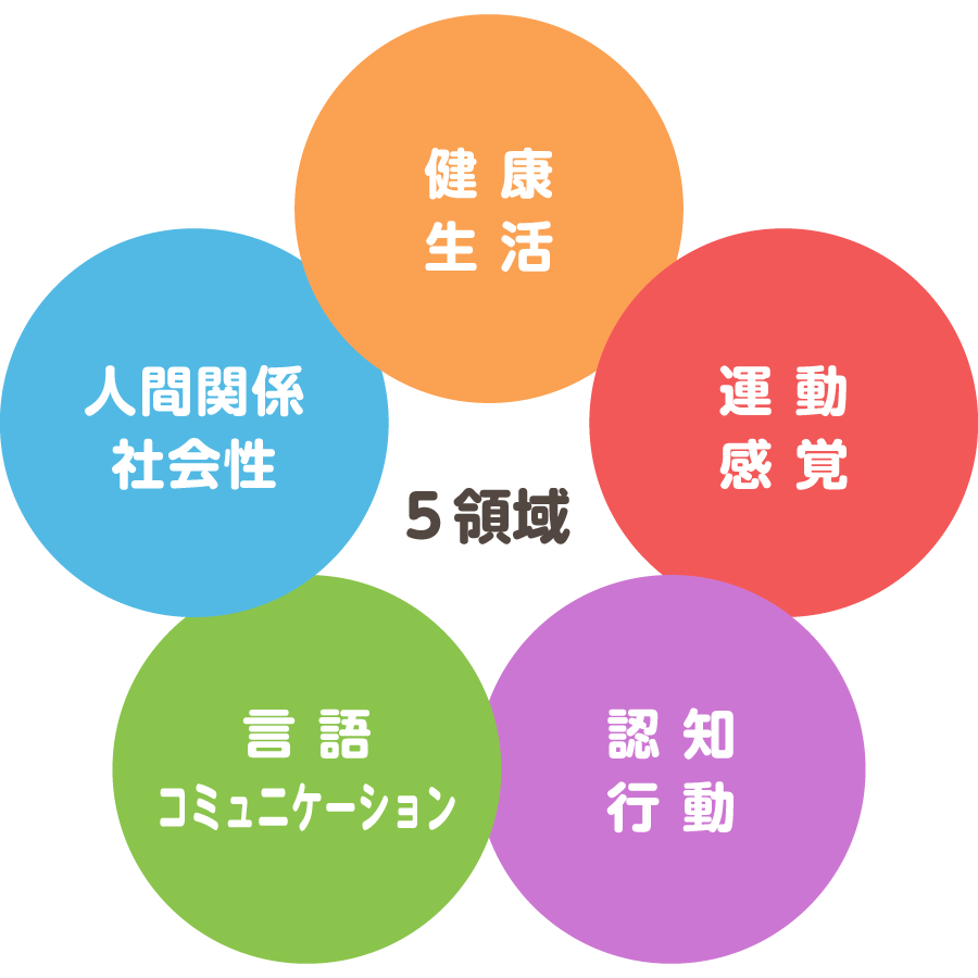 ５領域